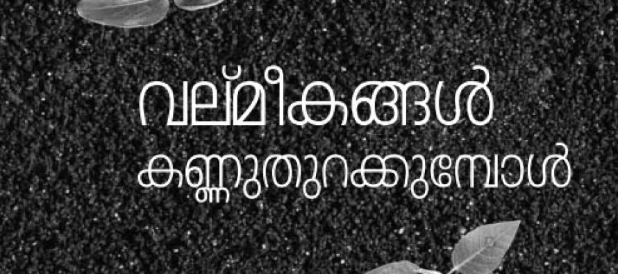 വല്മീകങ്ങള് കണ്ണുതുറക്കുമ്പോള് -അഗസ്റ്റിന് പാംപ്ലാനി