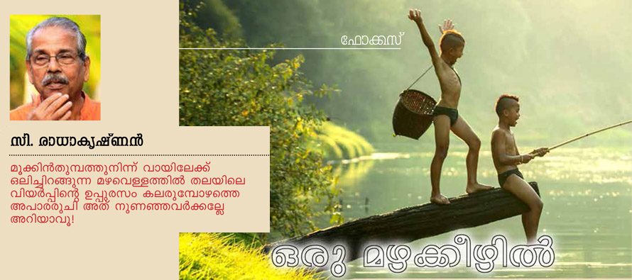 ഒരു മഴക്കീഴില്‍ – സി. രാധാകൃഷ്ണന്‍