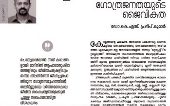 ഗോത്ര സംസ്‌ക്കാരിക പൈതൃകം, വര്‍ത്തമാനം: ഒരു നരവംശശാസ്ത്ര വിശകലനം  – ഡോ.കെ.എസ് പ്രദീപ് കുമാര്‍