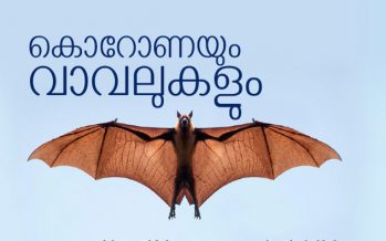 കൊറോണയും വാവലുകളും   – എന്‍. എസ്. അരുണ്‍കുമാര്‍