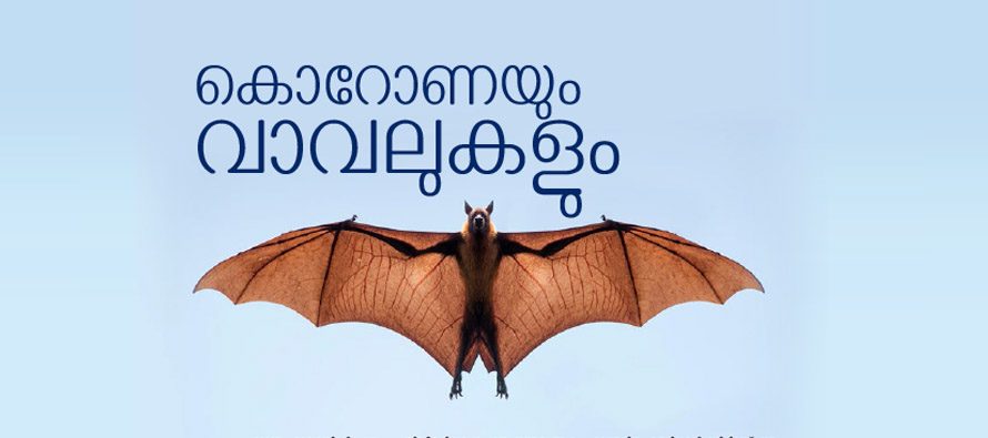 കൊറോണയും വാവലുകളും   – എന്‍. എസ്. അരുണ്‍കുമാര്‍