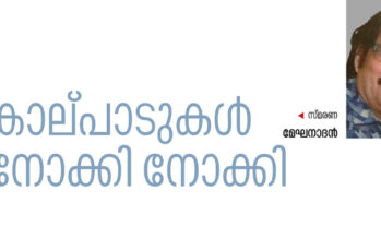 കാല്പാടുകൾ നോക്കി നോക്കി  – മേഘനാദൻ